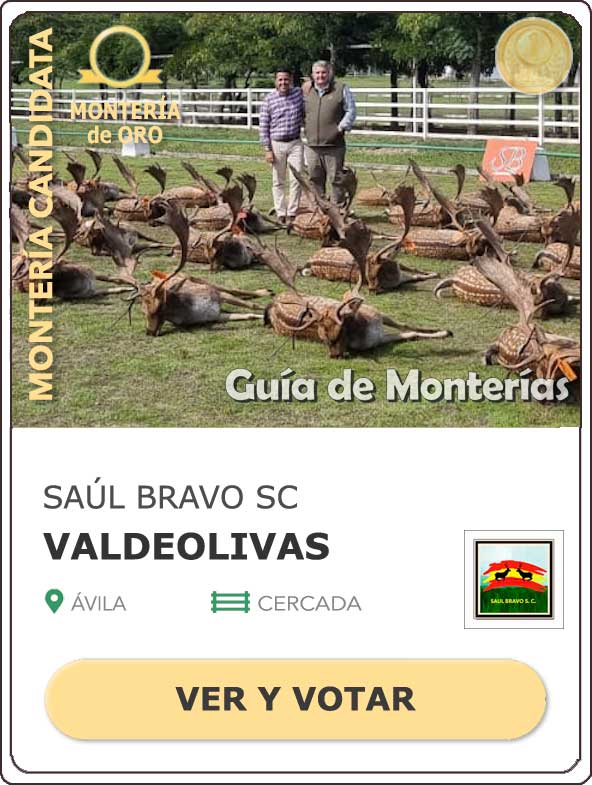 Candidatas20202021MonterosdelHitoCantillana