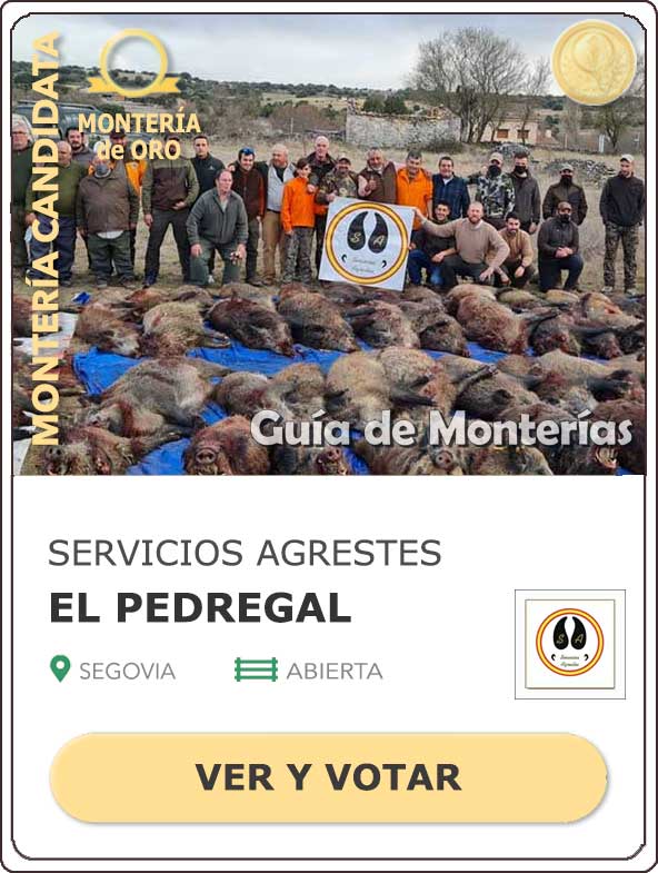 Candidatas20202021MonterosdelHitoCantillana