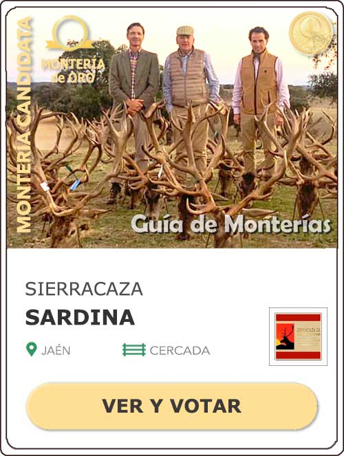 Candidatas20202021MonterosdelHitoCantillana