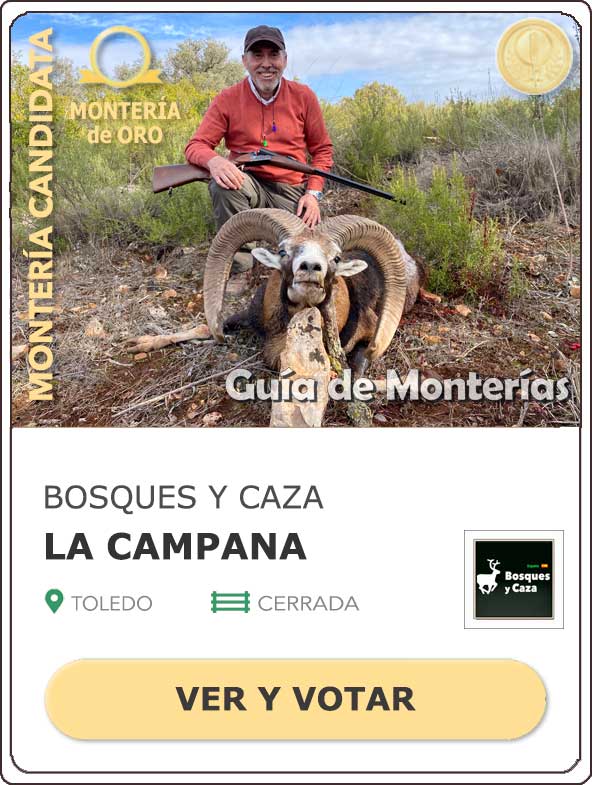 CandidatasPueblaEstellez Chaves