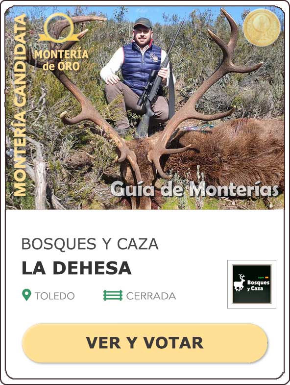 Candidatas20202021MonterosdelHitoCantillana