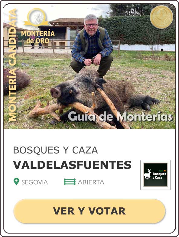 Candidatas20202021MonterosdelHitoCantillana