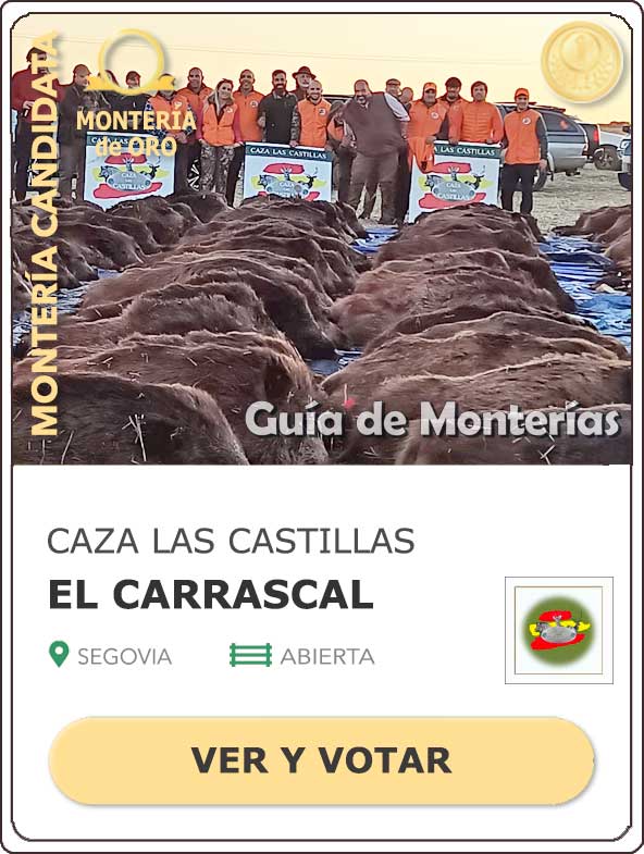 Candidatas20202021MonterosdelHitoCantillana