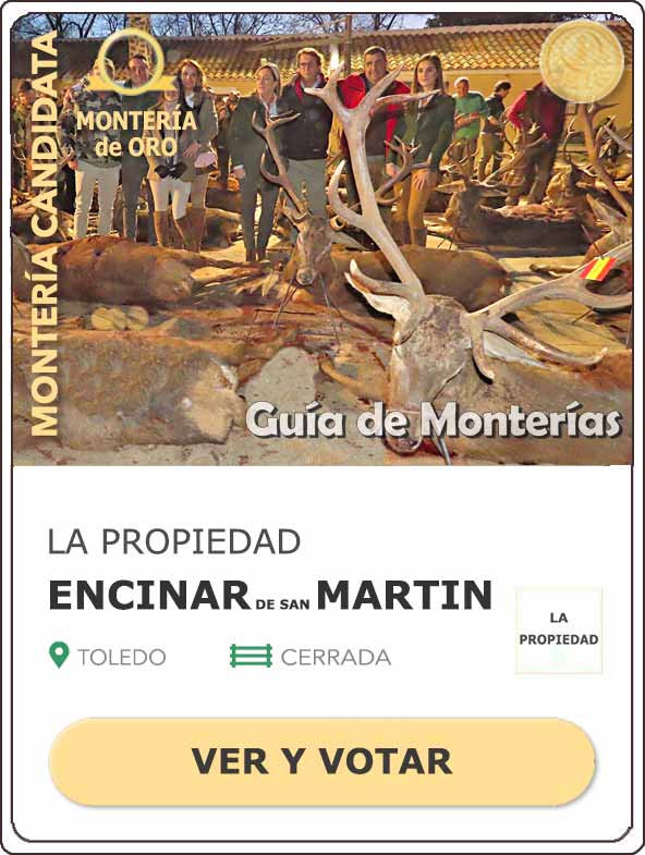 Candidatas20202021MonterosdelHitoCantillana