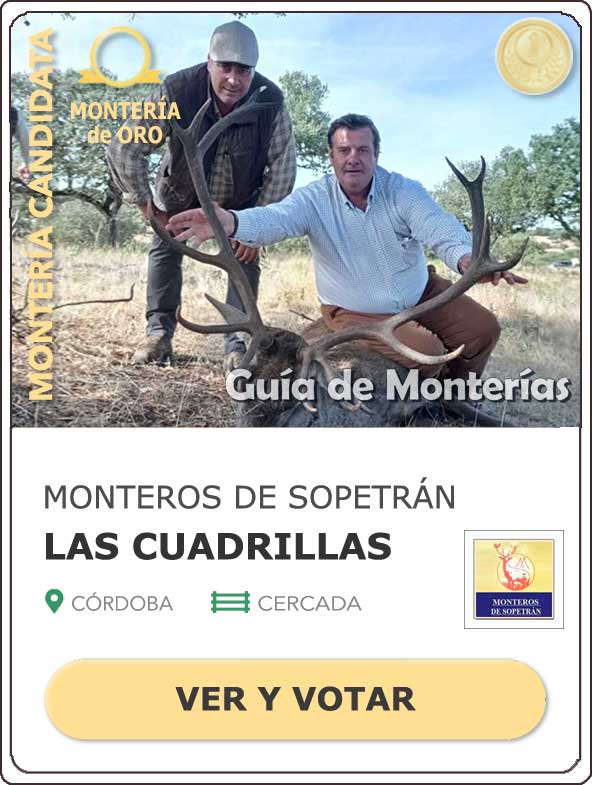 Candidatas20202021MonterosdelHitoCantillana