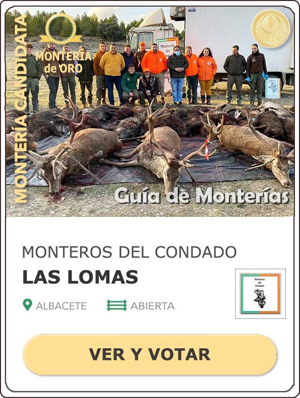 Candidatas20202021MonterosdelHitoCantillana