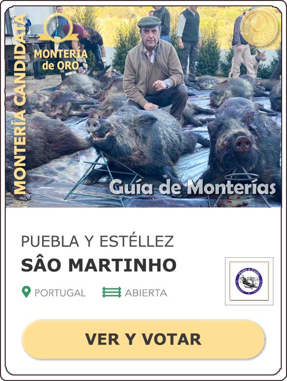 Candidatas20202021MonterosdelHitoCantillana