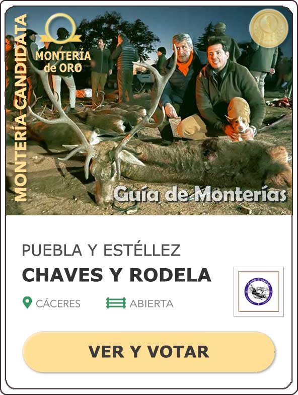 Candidatas20202021MonterosdelHitoCantillana