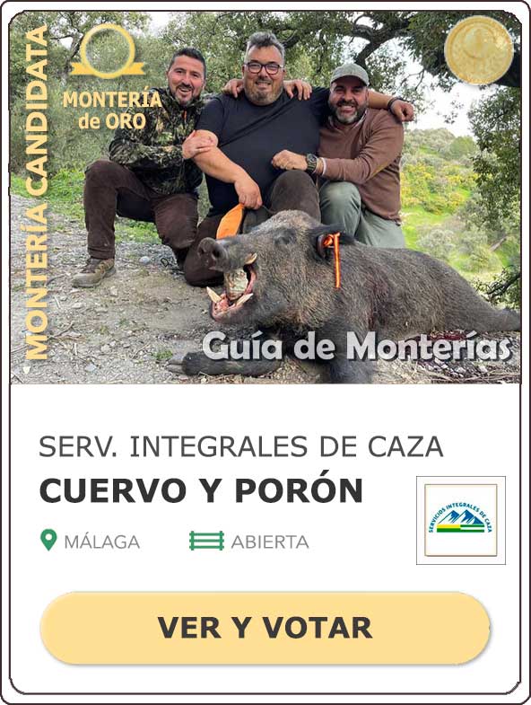 Candidatas20202021MonterosdelHitoCantillana