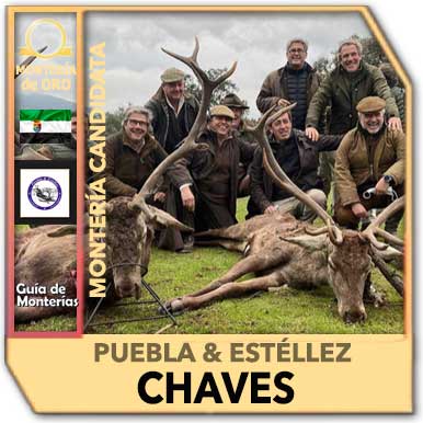 CandidatasPueblaEstellez Chaves