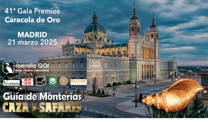 Monteria Candidata 2024 grande