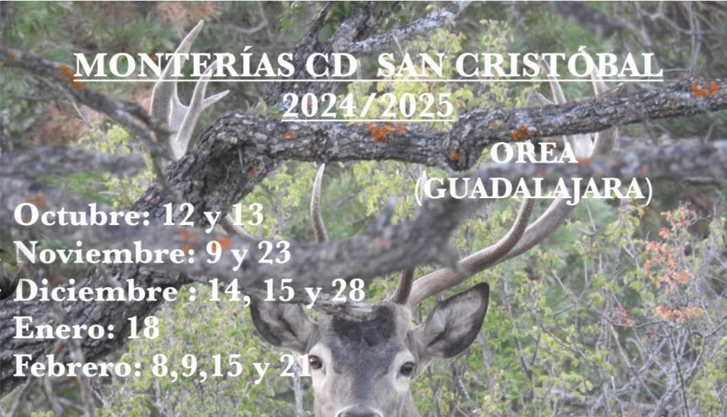 Programa Bosques 2021 2022
