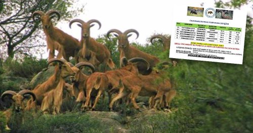 Sociedad Cazadores Jabali Mula