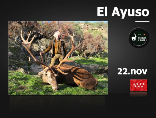 MonteriaBosquesyCazaElAyuso1