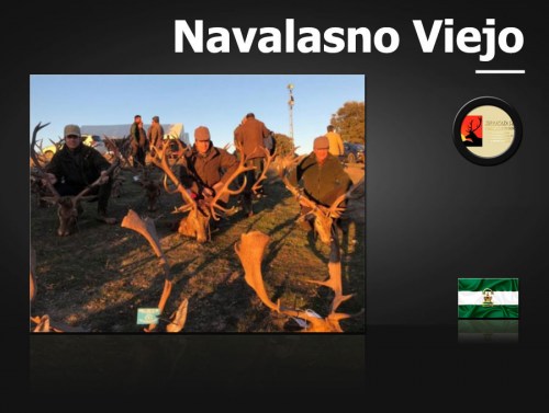 Navalasno Viejo